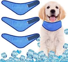 BANDANA REFRESCANTE PARA PERROS